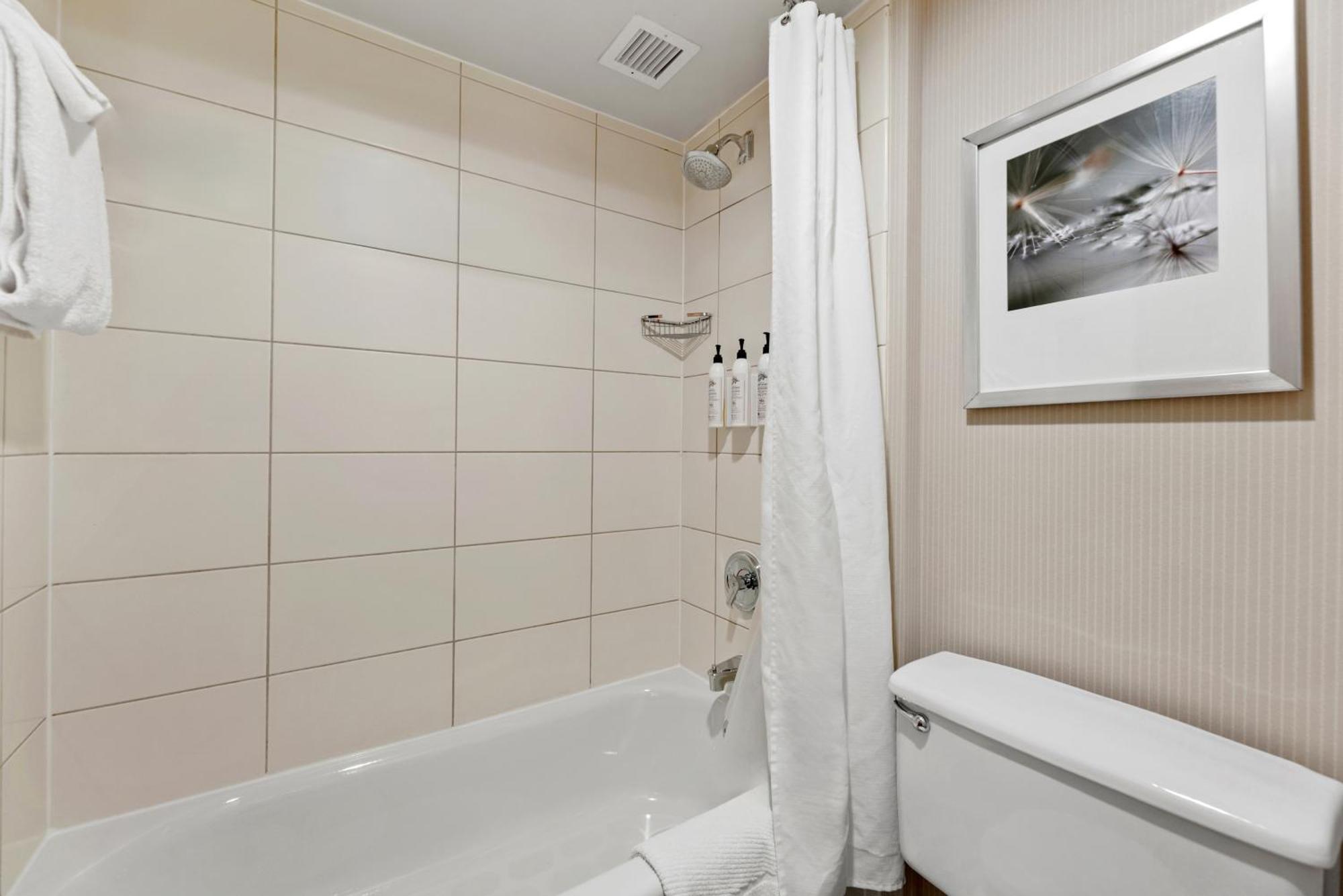 Delta By Marriott Mount Pleasant