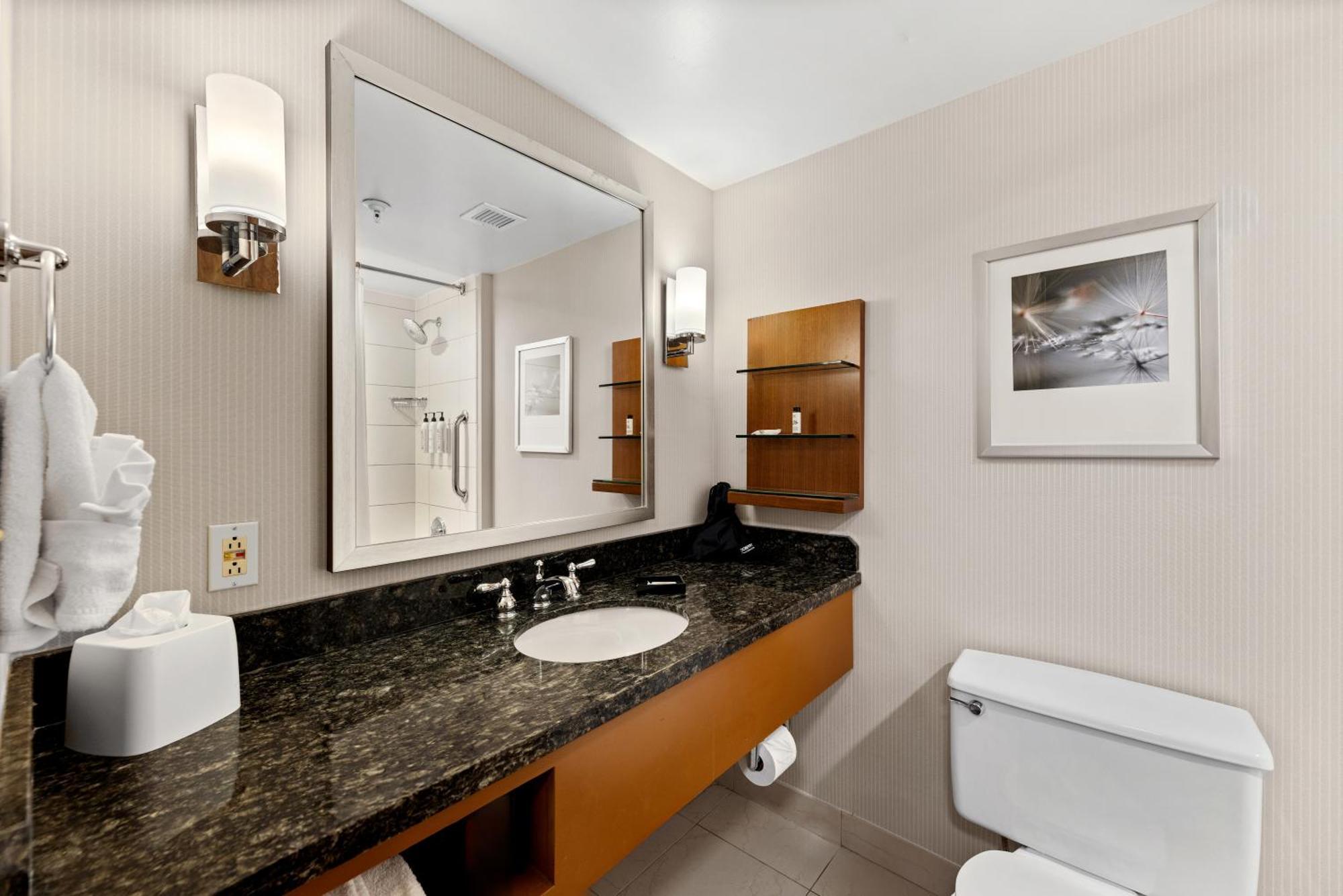 Delta By Marriott Mount Pleasant Racine